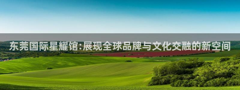极悦娱乐app官网下载苹果：东莞国际星耀馆:展现全球品牌与文化交融的新空间