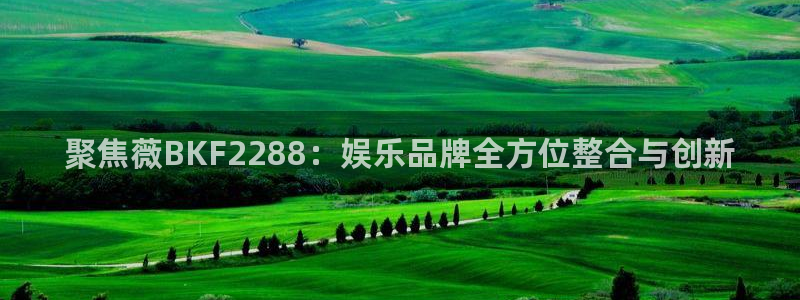 南宫极悦娱乐：聚焦薇BKF2288：娱乐品牌全方位整合与创新