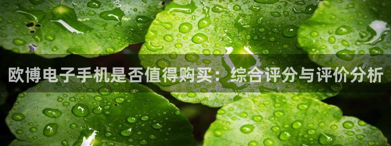 壹号app下载官方网站：欧博电子手机是否值得购买：综合评分与评价分析