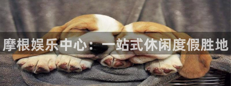 极悦娱乐账号注册入口：摩根娱乐中心：一站式休闲度假胜地
