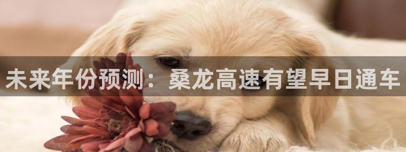 极悦娱乐强制退款流程详解：未来年份预测：桑龙高速有望早日通车