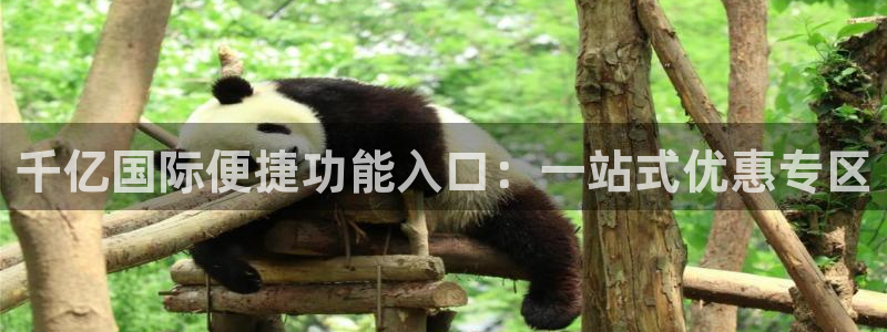 极悦：千亿国际便捷功能入口：一站式优惠专区