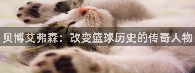 壹号top娱乐：贝博艾弗森：改变篮球历史的传奇人物