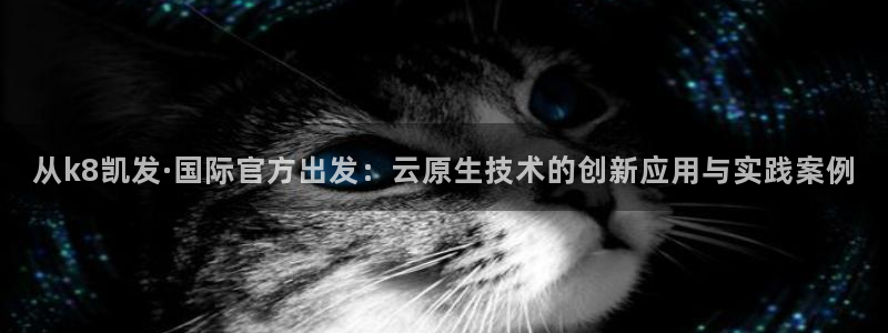 极悦娱乐app注册地址：从k8凯发·国际官方出发：云原生技术的创新应用与实践案例