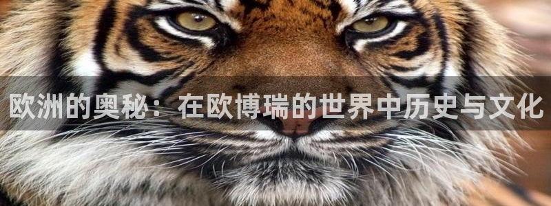 极悦娱乐是什么平台：欧洲的奥秘：在欧博瑞的世界中历史与文化