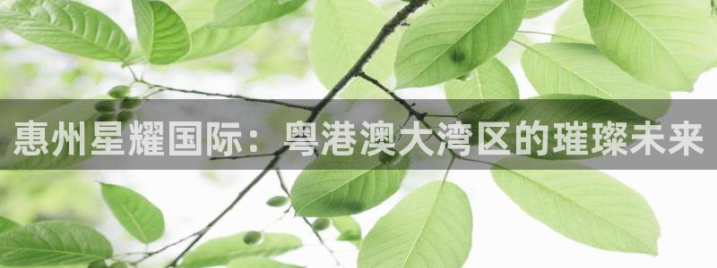 极悦娱乐电子游戏官网：惠州星耀国际：粤港澳大湾区的璀璨未来