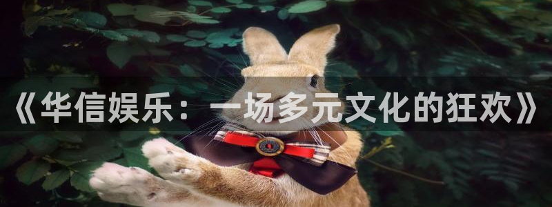 壹号大舞台娱乐传媒：《华信娱乐：一场多元文化的狂欢》