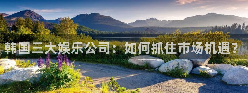 极悦娱乐可靠吗：韩国三大娱乐公司：如何抓住市场机遇？