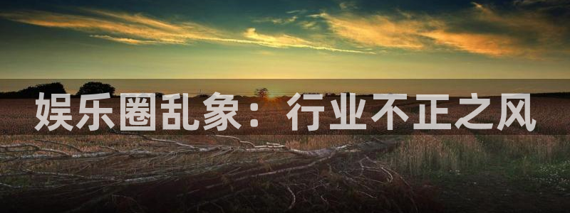 极悦娱乐注册网站app：娱乐圈乱象：行业不正之风