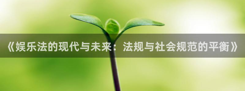 极悦娱乐平台登录入口：《娱乐法的现代与未来：法规与社会规范的平衡》