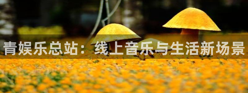 极悦娱乐注册登录入口：青娱乐总站：线上音乐与生活新场景