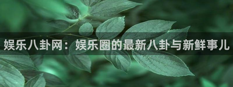 壹号top娱乐：娱乐八卦网：娱乐圈的最新八卦与新鲜事儿