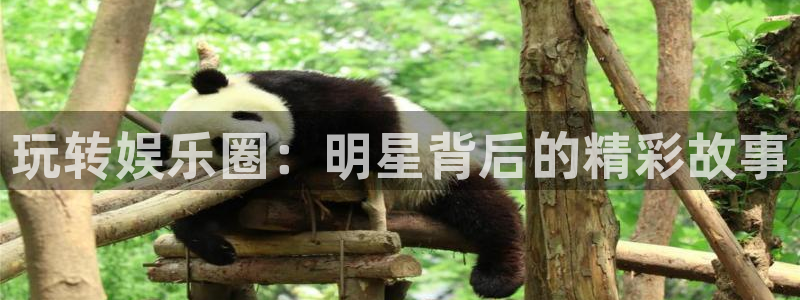 极悦娱乐平台登录：玩转娱乐圈：明星背后的精彩故事
