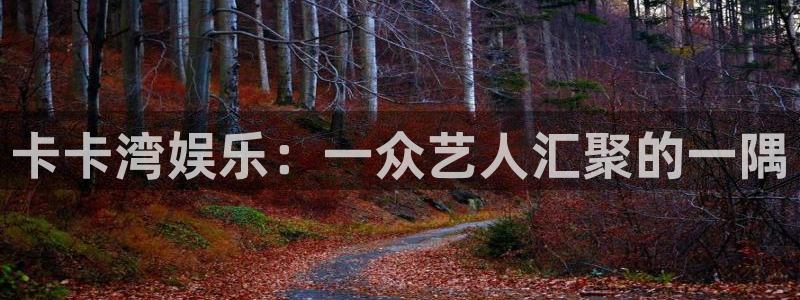 极悦娱乐平台官网登录入口：卡卡湾娱乐：一众艺人汇聚的一隅