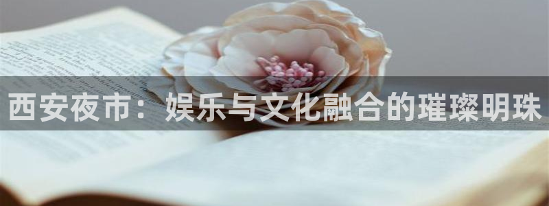 极悦娱乐,apk：西安夜市：娱乐与文化融合的璀璨明珠