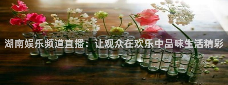 极悦娱乐.ccm官网版：湖南娱乐频道直播：让观众在欢乐中品味生活精彩