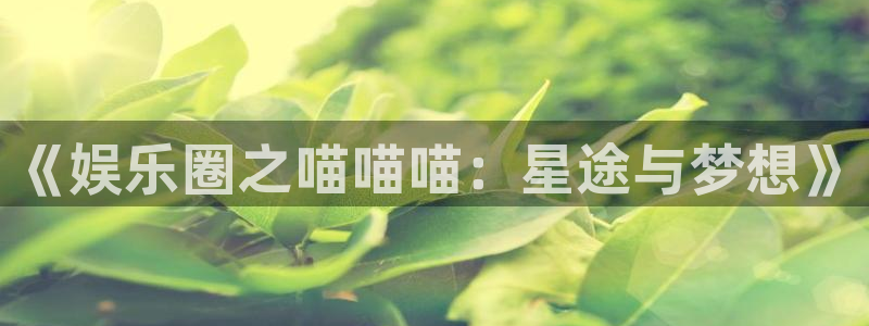 极悦登陆：《娱乐圈之喵喵喵：星途与梦想》