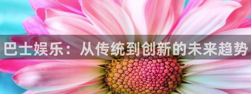 极悦娱乐赏金女王：巴士娱乐：从传统到创新的未来趋势