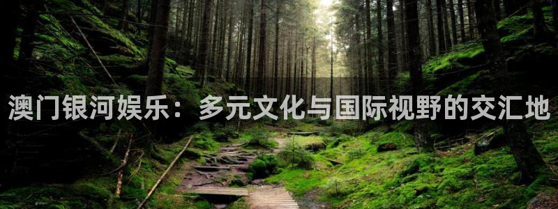 壹号大舞台：澳门银河娱乐：多元文化与国际视野的交汇地
