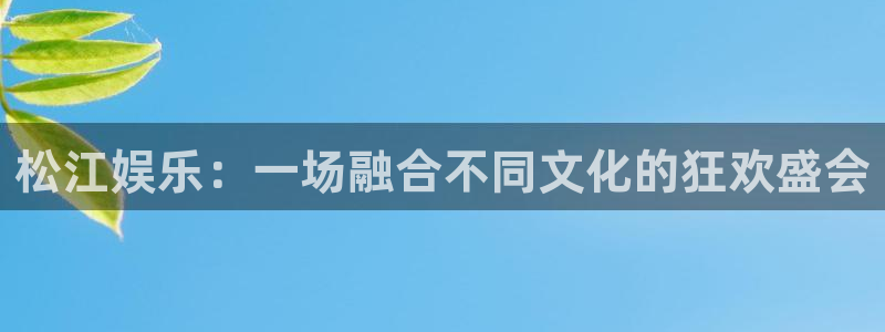 极悦注册入口：松江娱乐：一场融合不同文化的狂欢盛会
