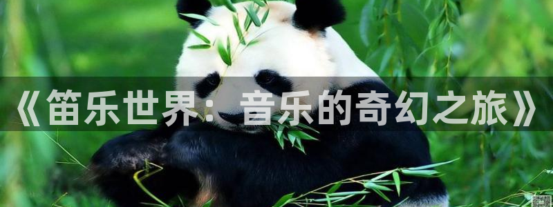 极悦：《笛乐世界：音乐的奇幻之旅》