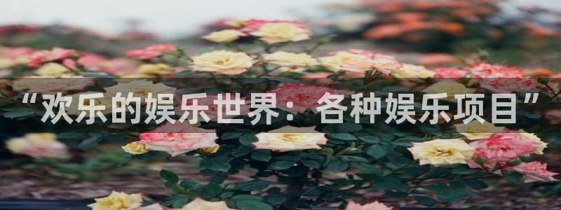 壹号大舞台下载链接：“欢乐的娱乐世界：各种娱乐项目”