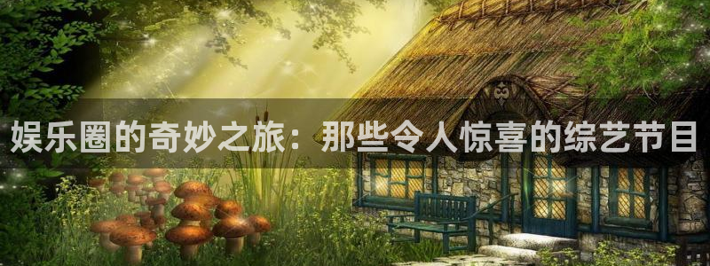 极悦娱乐：娱乐圈的奇妙之旅：那些令人惊喜的综艺节目
