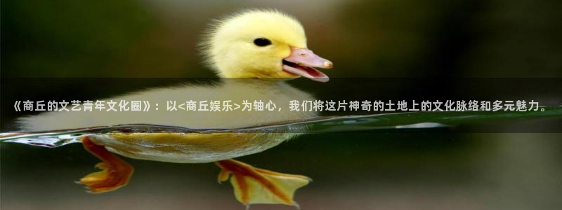 极悦娱乐怎么下载：《商丘的文艺青年文化圈》：以<商丘娱乐>为轴心，我们将这片神奇的土地上的文化脉络和多元魅力。