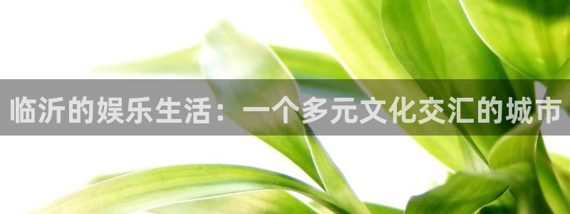 极悦娱乐注册入口与教程：临沂的娱乐生活：一个多元文化交汇的城市