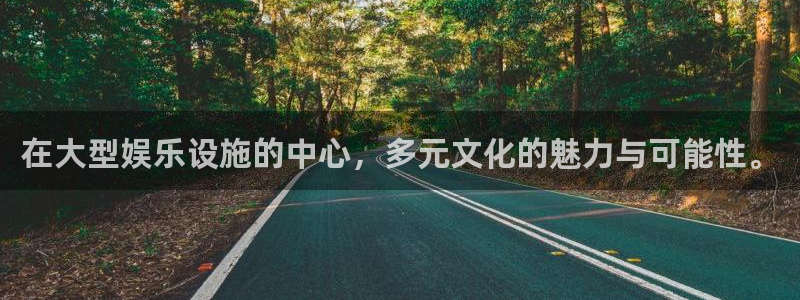 极悦娱乐是大平台吗：在大型娱乐设施的中心，多元文化的魅力与可能性。