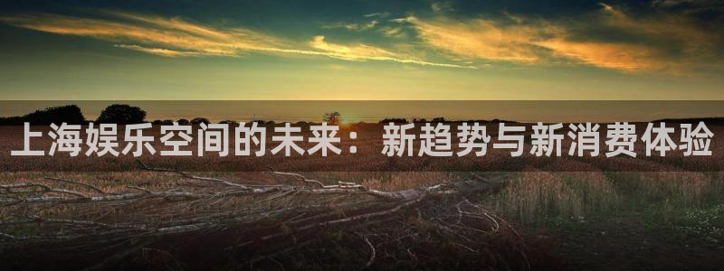 壹号大舞台娱乐传媒：上海娱乐空间的未来：新趋势与新消费体验