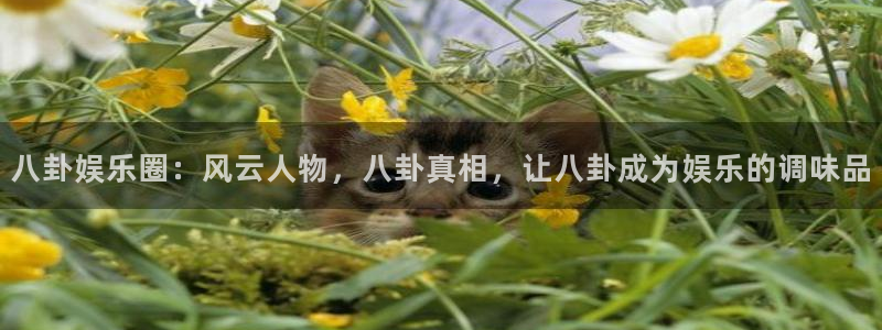极悦娱乐app入口
