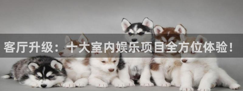 极悦娱乐路线1：客厅升级：十大室内娱乐项目全方位体验！