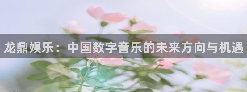极悦娱乐强制退款流程详解：龙鼎娱乐：中国数字音乐的未来方向与机遇