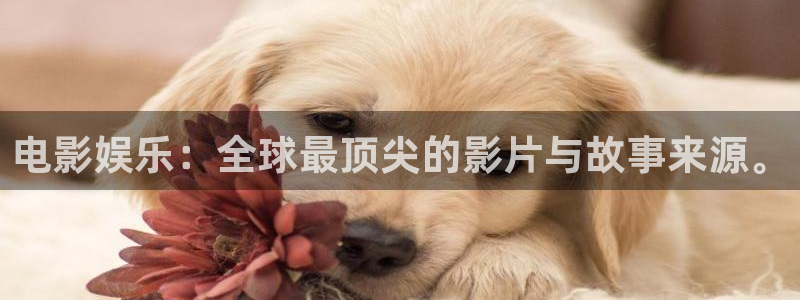 极悦娱乐免费注册：电影娱乐：全球最顶尖的影片与故事来源。