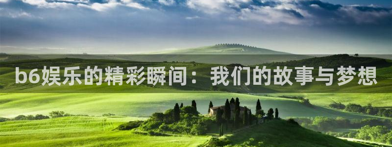 极悦娱乐网站平台登录：b6娱乐的精彩瞬间：我们的故事与梦想