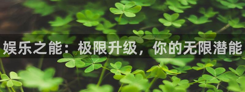 极悦娱乐注册官网入口