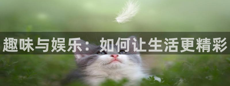 壹号大舞台有梦你就来：趣味与娱乐：如何让生活更精彩
