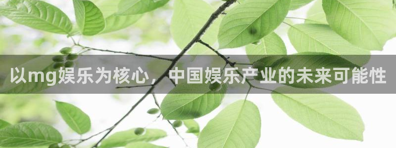 壹号下载官网入口：以mg娱乐为核心，中国娱乐产业的未来可能性