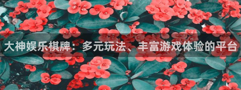 极悦注册入口：大神娱乐棋牌：多元玩法、丰富游戏体验的平台