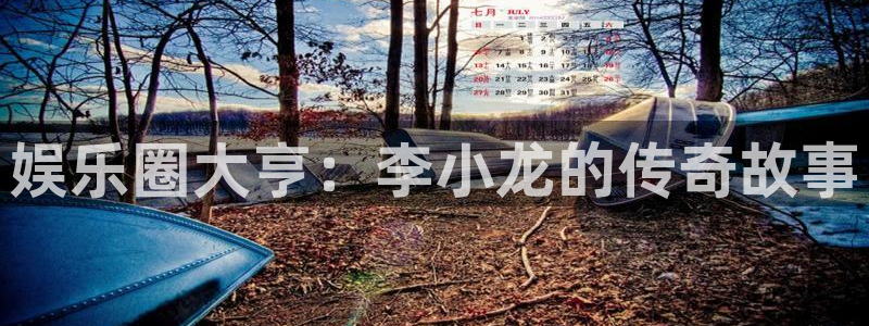 极悦娱乐平台下载入口：娱乐圈大亨：李小龙的传奇故事