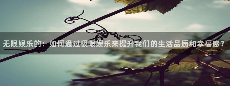 极悦娱乐路线1：无限娱乐的：如何通过极限娱乐来提升我们的生活品质和幸福感？
